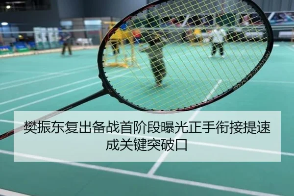 樊振东复出备战首阶段曝光正手衔接提速成关键突破口